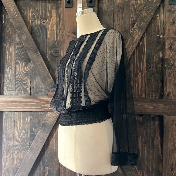 ZARA Black Sheer Blouse - Picture 4 of 13